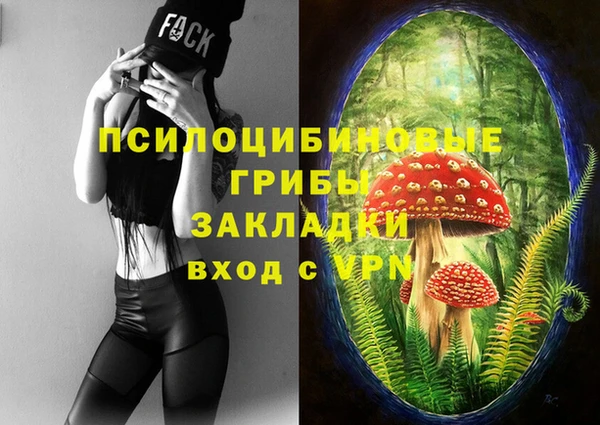 ALPHA PVP Алексин