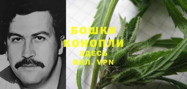 ALPHA PVP Алексин
