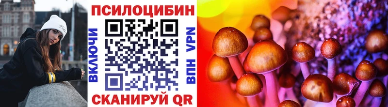 mega ссылка Удомля Псилоцибиновые грибы Cubensis даркнет сайт